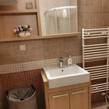 דירה Vlasicka Ruza Eko Fis 303 *