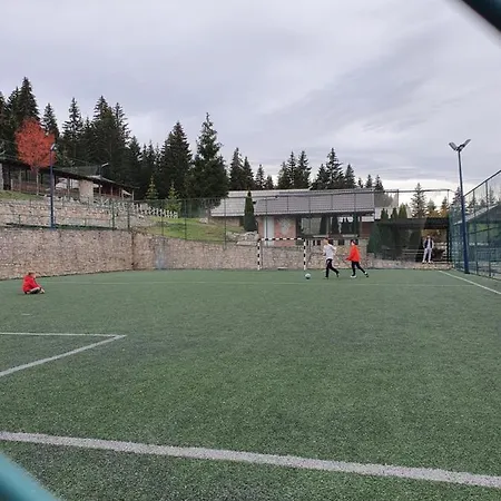 Vlasicka Ruza Eko Fis 303 * Vlašić